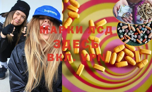 винт Ельня