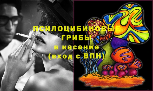 дживик Елабуга