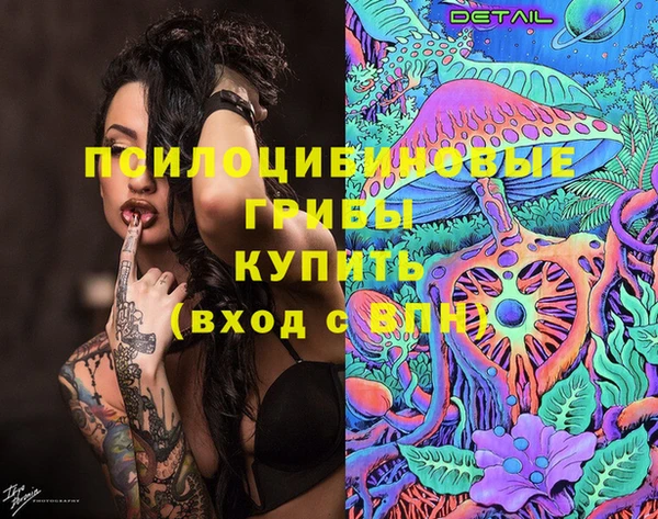 винт Ельня