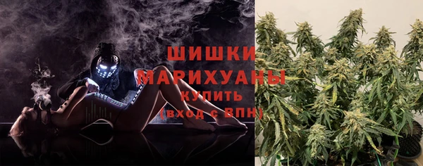 первитин Дмитриев