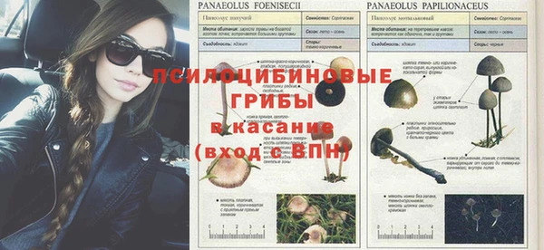 мяу мяу кристалл Елизово