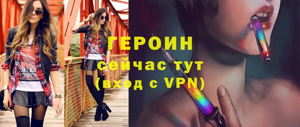 винт Ельня
