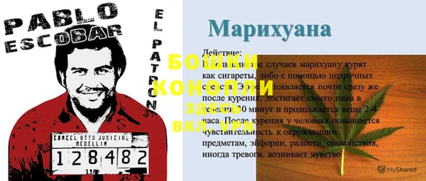 дживик Елабуга