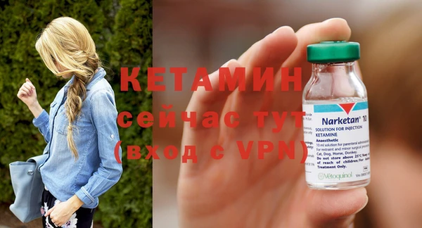винт Ельня