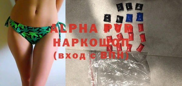 дживик Елабуга