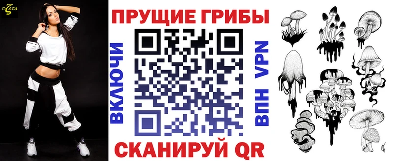 Купить где Полевской Псилоцибиновые грибы Magic Shrooms